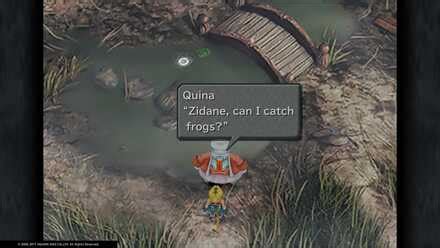 frog drop ff9|Frog Catching Side Quest Walkthrough .